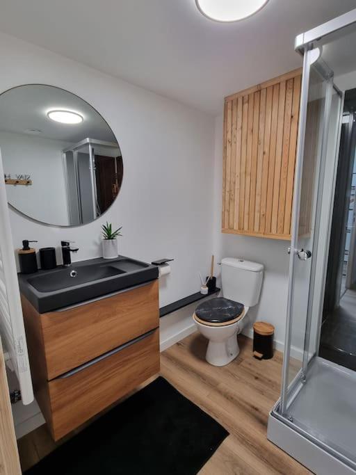 L'emeraude Amienoise Netflix/hortillons/stleu/gare Holiday home *